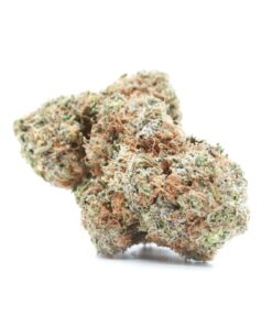 Chocolope (AAA)